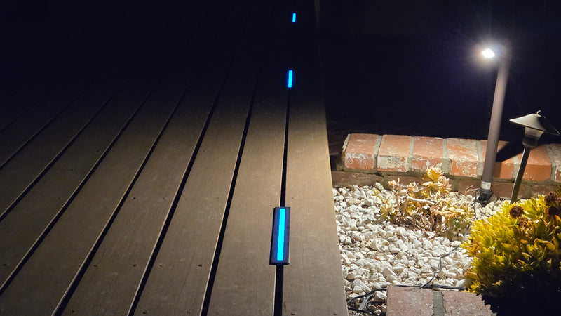 Gallery Showcase Image