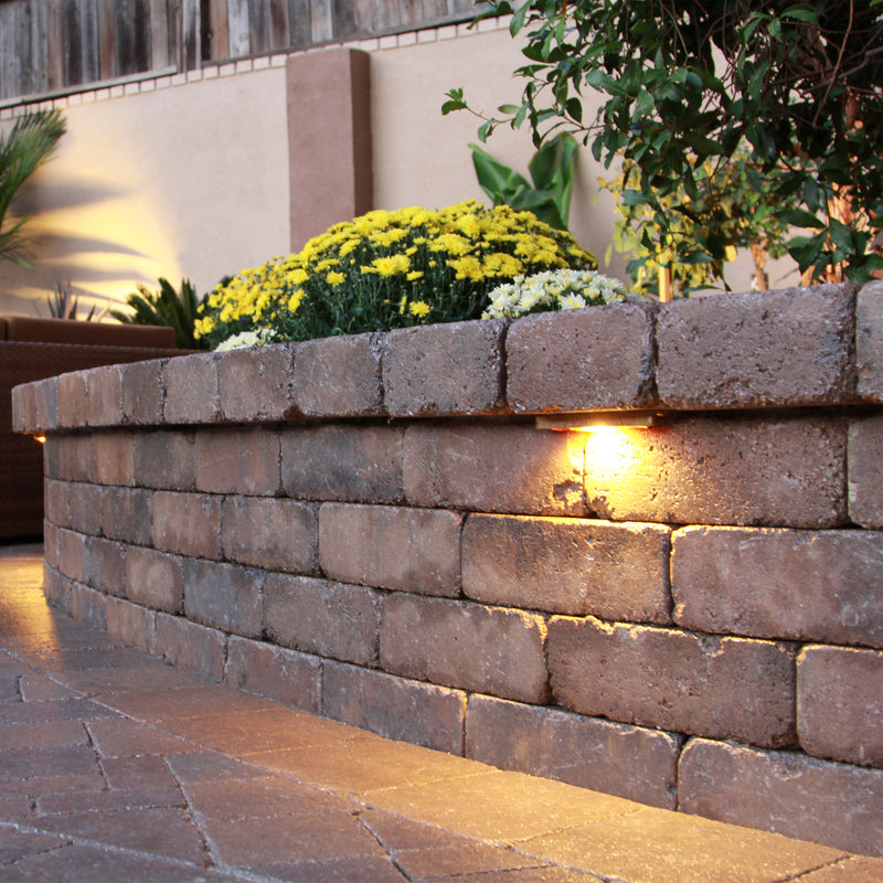 Gallery Showcase Image