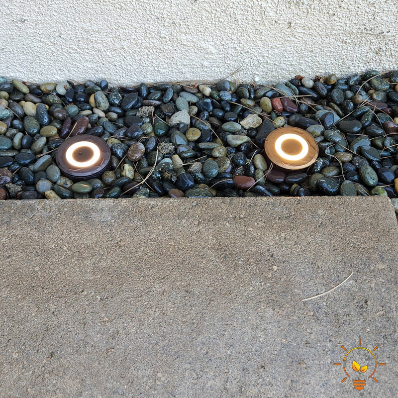 Gallery Showcase Image