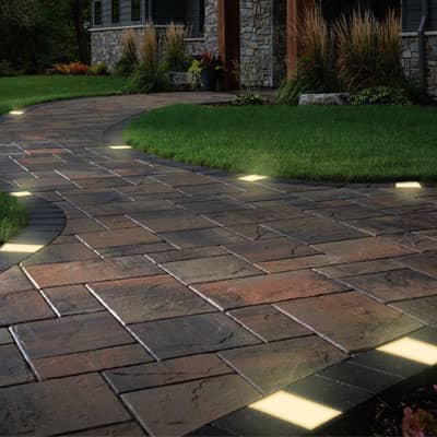 Gallery Showcase Image